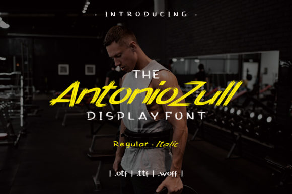 Antonio Zull: The Brushed Display Font for Urban Designs